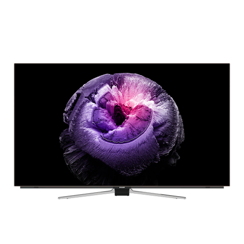 Televizyon